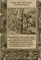 An illustration from Emblemata Andreae Alciati ... (1548)