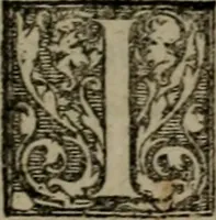 An illustration from Emblemata anniversaria Academiae Altorfinae : studiorum iuventutis exercitandorum causa proposita et variorum orationibus exposita (1597)