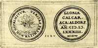 An illustration from Emblemata anniversaria Academiae Noribergensis, qvae est Altorffii: stvdiorum juventutis exercitandorum caussâ inde ab ann. Christi CD D LXXVII usq; ad annum CD D CXVI proposita; oratiunculis eruditis & nervosis in panegyribus academicis explicata (1617)