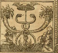 Picture 257 of 416 from Emblemata d'A. Alciati : denuo ab ipso autore recognita ac, quae desiderabantur, imaginibus locupletata : accesserunt noua aliquot ab autore emblemata, suis quoque eiconibus insignita (1550), leaf 133