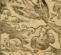 An illustration from Emblemata d'A. Alciati : denuo ab ipso autore recognita ac, quae desiderabantur, imaginibus locupletata : accesserunt noua aliquot ab autore emblemata, suis quoque eiconibus insignita (1550)