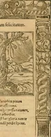 An illustration from Emblemata d'A. Alciati : denuo ab ipso autore recognita ac, quae desiderabantur, imaginibus locupletata : accesserunt noua aliquot ab autore emblemata, suis quoque eiconibus insignita (1550)