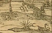 An illustration from Emblemata d'A. Alciati : denuo ab ipso autore recognita ac, quae desiderabantur, imaginibus locupletata : accesserunt noua aliquot ab autore emblemata, suis quoque eiconibus insignita (1550)