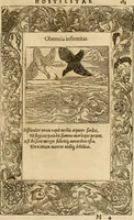 An illustration from Emblemata d'A. Alciati : denuo ab ipso autore recognita ac, quae desiderabantur, imaginibus locupletata : accesserunt noua aliquot ab autore emblemata, suis quoque eiconibus insignita (1550)