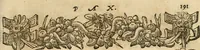 Picture 356 of 416 from Emblemata d'A. Alciati : denuo ab ipso autore recognita ac, quae desiderabantur, imaginibus locupletata : accesserunt noua aliquot ab autore emblemata, suis quoque eiconibus insignita (1550), leaf 192
