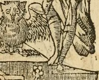 An illustration from Emblemata d'A. Alciati : denuo ab ipso autore recognita ac, quae desiderabantur, imaginibus locupletata : accesserunt noua aliquot ab autore emblemata, suis quoque eiconibus insignita (1550)