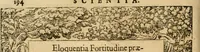 An illustration from Emblemata d'A. Alciati : denuo ab ipso autore recognita ac, quae desiderabantur, imaginibus locupletata : accesserunt noua aliquot ab autore emblemata, suis quoque eiconibus insignita (1550)