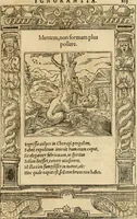 An illustration from Emblemata d'A. Alciati : denuo ab ipso autore recognita ac, quae desiderabantur, imaginibus locupletata : accesserunt noua aliquot ab autore emblemata, suis quoque eiconibus insignita (1550)