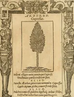 An illustration from Emblemata d'A. Alciati : denuo ab ipso autore recognita ac, quae desiderabantur, imaginibus locupletata : accesserunt noua aliquot ab autore emblemata, suis quoque eiconibus insignita (1550)