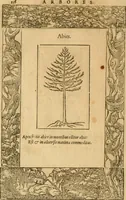 An illustration from Emblemata d'A. Alciati : denuo ab ipso autore recognita ac, quae desiderabantur, imaginibus locupletata : accesserunt noua aliquot ab autore emblemata, suis quoque eiconibus insignita (1550)