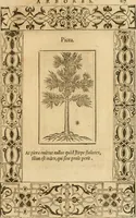 Picture 403 of 416 from Emblemata d'A. Alciati : denuo ab ipso autore recognita ac, quae desiderabantur, imaginibus locupletata : accesserunt noua aliquot ab autore emblemata, suis quoque eiconibus insignita (1550), leaf 220