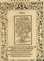 Picture 405 of 416 from Emblemata d'A. Alciati : denuo ab ipso autore recognita ac, quae desiderabantur, imaginibus locupletata : accesserunt noua aliquot ab autore emblemata, suis quoque eiconibus insignita (1550), leaf 222