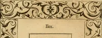 An illustration from Emblemata d'A. Alciati : denuo ab ipso autore recognita ac, quae desiderabantur, imaginibus locupletata : accesserunt noua aliquot ab autore emblemata, suis quoque eiconibus insignita (1550)