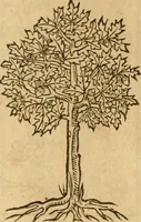Picture 408 of 416 from Emblemata d'A. Alciati : denuo ab ipso autore recognita ac, quae desiderabantur, imaginibus locupletata : accesserunt noua aliquot ab autore emblemata, suis quoque eiconibus insignita (1550), leaf 223