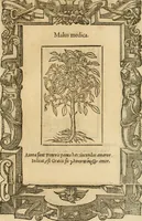 Picture 410 of 416 from Emblemata d'A. Alciati : denuo ab ipso autore recognita ac, quae desiderabantur, imaginibus locupletata : accesserunt noua aliquot ab autore emblemata, suis quoque eiconibus insignita (1550), leaf 224