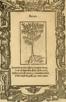An illustration from Emblemata d'A. Alciati : denuo ab ipso autore recognita ac, quae desiderabantur, imaginibus locupletata : accesserunt noua aliquot ab autore emblemata, suis quoque eiconibus insignita (1550)