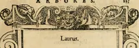 Picture 414 of 416 from Emblemata d'A. Alciati : denuo ab ipso autore recognita ac, quae desiderabantur, imaginibus locupletata : accesserunt noua aliquot ab autore emblemata, suis quoque eiconibus insignita (1550), leaf 228
