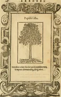 Picture 416 of 416 from Emblemata d'A. Alciati : denuo ab ipso autore recognita ac, quae desiderabantur, imaginibus locupletata : accesserunt noua aliquot ab autore emblemata, suis quoque eiconibus insignita (1550), leaf 229