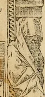 Picture 38 of 416 from Emblemata d'A. Alciati : denuo ab ipso autore recognita ac, quae desiderabantur, imaginibus locupletata : accesserunt noua aliquot ab autore emblemata, suis quoque eiconibus insignita (1550), leaf 25