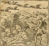 An illustration from Emblemata d'A. Alciati : denuo ab ipso autore recognita ac, quae desiderabantur, imaginibus locupletata : accesserunt noua aliquot ab autore emblemata, suis quoque eiconibus insignita (1550)