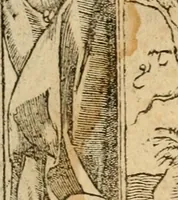 An illustration from Emblemata d'A. Alciati : denuo ab ipso autore recognita ac, quae desiderabantur, imaginibus locupletata : accesserunt noua aliquot ab autore emblemata, suis quoque eiconibus insignita (1550)