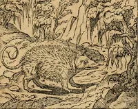 An illustration from Emblemata d'A. Alciati : denuo ab ipso autore recognita ac, quae desiderabantur, imaginibus locupletata : accesserunt noua aliquot ab autore emblemata, suis quoque eiconibus insignita (1550)
