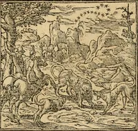 An illustration from Emblemata d'A. Alciati : denuo ab ipso autore recognita ac, quae desiderabantur, imaginibus locupletata : accesserunt noua aliquot ab autore emblemata, suis quoque eiconibus insignita (1550)