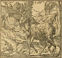Picture 145 of 416 from Emblemata d'A. Alciati : denuo ab ipso autore recognita ac, quae desiderabantur, imaginibus locupletata : accesserunt noua aliquot ab autore emblemata, suis quoque eiconibus insignita (1550), leaf 75