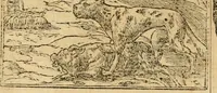 An illustration from Emblemata d'A. Alciati : denuo ab ipso autore recognita ac, quae desiderabantur, imaginibus locupletata : accesserunt noua aliquot ab autore emblemata, suis quoque eiconibus insignita (1550)