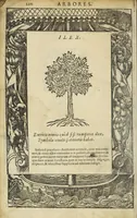 An illustration from Emblemata D. A. Alciati : denuo ab ipso autore recognita, ac, quae desiderabantur, imaginibus locupletata (1551)