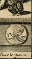 An illustration from Emblemata : emblemes chrestienes et morales : sinne-beelden, streckende tot christelicke bedenckinghe ende leere der zedicheyt (1625)