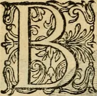 An illustration from Emblemata : emblemes chrestienes et morales : sinne-beelden, streckende tot christelicke bedenckinghe ende leere der zedicheyt (1625)