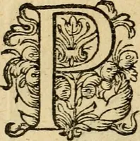 An illustration from Emblemata : emblemes chrestienes et morales : sinne-beelden, streckende tot christelicke bedenckinghe ende leere der zedicheyt (1625)