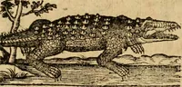 An illustration from Emblemata : emblemes chrestienes et morales : sinne-beelden, streckende tot christelicke bedenckinghe ende leere der zedicheyt (1625)