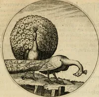 An illustration from Emblemata : emblemes chrestienes et morales : sinne-beelden, streckende tot christelicke bedenckinghe ende leere der zedicheyt (1625)