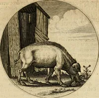 An illustration from Emblemata : emblemes chrestienes et morales : sinne-beelden, streckende tot christelicke bedenckinghe ende leere der zedicheyt (1625)