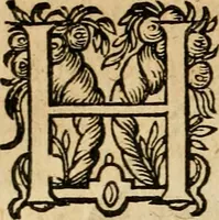 An illustration from Emblemata : emblemes chrestienes et morales : sinne-beelden, streckende tot christelicke bedenckinghe ende leere der zedicheyt (1625)
