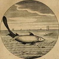An illustration from Emblemata : emblemes chrestienes et morales : sinne-beelden, streckende tot christelicke bedenckinghe ende leere der zedicheyt (1625)