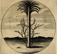 An illustration from Emblemata : emblemes chrestienes et morales : sinne-beelden, streckende tot christelicke bedenckinghe ende leere der zedicheyt (1625)