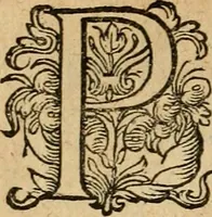 An illustration from Emblemata : emblemes chrestienes et morales : sinne-beelden, streckende tot christelicke bedenckinghe ende leere der zedicheyt (1625)