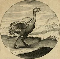 An illustration from Emblemata : emblemes chrestienes et morales : sinne-beelden, streckende tot christelicke bedenckinghe ende leere der zedicheyt (1625)