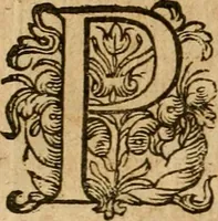 An illustration from Emblemata : emblemes chrestienes et morales : sinne-beelden, streckende tot christelicke bedenckinghe ende leere der zedicheyt (1625)