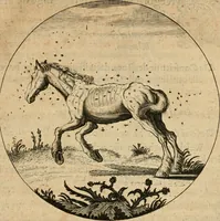 An illustration from Emblemata : emblemes chrestienes et morales : sinne-beelden, streckende tot christelicke bedenckinghe ende leere der zedicheyt (1625)