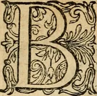 An illustration from Emblemata : emblemes chrestienes et morales : sinne-beelden, streckende tot christelicke bedenckinghe ende leere der zedicheyt (1625)