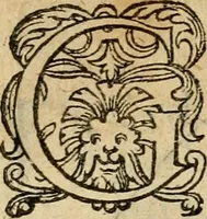 An illustration from Emblemata : emblemes chrestienes et morales : sinne-beelden, streckende tot christelicke bedenckinghe ende leere der zedicheyt (1625)