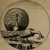 An illustration from Emblemata, Emblemes chrestienes, et morales. Sinne-beelden streckende tot Christelicke bedenckinghe ende leere der zedicheyt (1625)