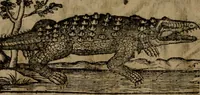 Picture 102 of 104 from Emblemata, Emblemes chrestienes, et morales. Sinne-beelden streckende tot Christelicke bedenckinghe ende leere der zedicheyt (1625), leaf 231