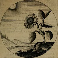 An illustration from Emblemata, Emblemes chrestienes, et morales. Sinne-beelden streckende tot Christelicke bedenckinghe ende leere der zedicheyt (1625)