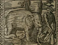 Picture 146 of 238 from Emblemata : et aliquot nummi antiqui operis (1566), leaf 163
