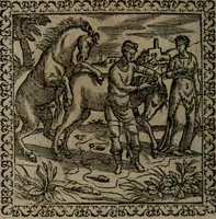 Picture 202 of 238 from Emblemata : et aliquot nummi antiqui operis (1566), leaf 225